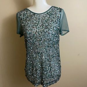 Chan Luu Teal Sequin Top S